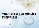 yzs口红好不好（yzs是什么牌子口红简介介绍）