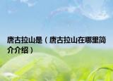 唐古拉山是（唐古拉山在哪里简介介绍）