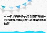 vivo步步高手机qq怎么退群介绍(vivo步步高手机qq怎么退群详细情况如何)