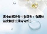 害虫有哪些益虫有哪些（有哪些益虫和害虫简介介绍）