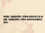电视剧《温柔的背叛》好看吗(如何评价介绍 电视剧《温柔的背叛》好看吗 如何评价详细情况如何)