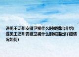 遇见王沥川安徽卫视什么时候播出介绍(遇见王沥川安徽卫视什么时候播出详细情况如何)