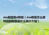 dm和弦和d和弦（dm和弦怎么按对应的和弦是什么简介介绍）