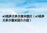 a3纸多大多少厘米图片（a3纸多大多少厘米简介介绍）