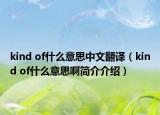 kind of什么意思中文翻译（kind of什么意思啊简介介绍）
