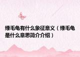绿毛龟有什么象征意义（绿毛龟是什么意思简介介绍）