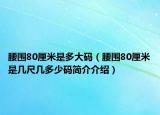 腰围80厘米是多大码（腰围80厘米是几尺几多少码简介介绍）