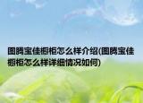 图腾宝佳橱柜怎么样介绍(图腾宝佳橱柜怎么样详细情况如何)
