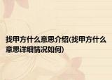 找甲方什么意思介绍(找甲方什么意思详细情况如何)