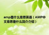 amp是什么意思英语（AMP中文意思是什么简介介绍）