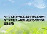 西宁至玉树途中最高山海拔是多高?介绍(西宁至玉树途中最高山海拔是多高?详细情况如何)