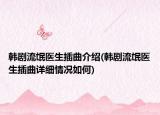 韩剧流氓医生插曲介绍(韩剧流氓医生插曲详细情况如何)