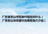 广东省东山市塔寨村现在叫什么（广东东山市塔寨村在哪里简介介绍）