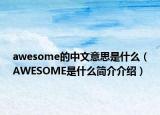 awesome的中文意思是什么（AWESOME是什么简介介绍）