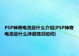 PSP神奇电池是什么介绍(PSP神奇电池是什么详细情况如何)