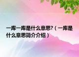 一库一库是什么意思?（一库是什么意思简介介绍）