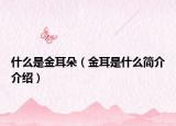 什么是金耳朵（金耳是什么简介介绍）
