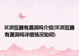 IE浏览器有漏洞吗介绍(IE浏览器有漏洞吗详细情况如何)