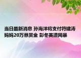 当日最新消息 孙海洋将支付符建涛妈妈20万悬赏金 彭冬英遭网暴
