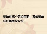 菜单在哪个系统里面（系统菜单栏在哪简介介绍）