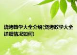 烧烤教学大全介绍(烧烤教学大全详细情况如何)
