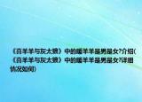 《喜羊羊与灰太狼》中的暖羊羊是男是女?介绍(《喜羊羊与灰太狼》中的暖羊羊是男是女?详细情况如何)