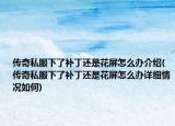 传奇私服下了补丁还是花屏怎么办介绍(传奇私服下了补丁还是花屏怎么办详细情况如何)