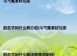 斗气冤家好兄弟|||的名字叫什么啊介绍(斗气冤家好兄弟|||的名字叫什么啊详细情况如何)