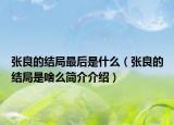 张良的结局最后是什么（张良的结局是啥么简介介绍）