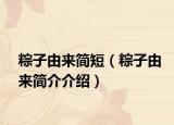 粽子由来简短（粽子由来简介介绍）