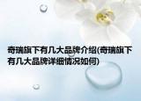 奇瑞旗下有几大品牌介绍(奇瑞旗下有几大品牌详细情况如何)