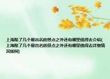 上海除了几个最出名的景点之外还有哪里值得去介绍(上海除了几个最出名的景点之外还有哪里值得去详细情况如何)
