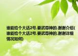 谁能给个大话2号.要武尊神的.谢谢介绍(谁能给个大话2号.要武尊神的.谢谢详细情况如何)