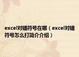 excel对错符号在哪（excel对错符号怎么打简介介绍）