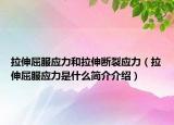 拉伸屈服应力和拉伸断裂应力（拉伸屈服应力是什么简介介绍）
