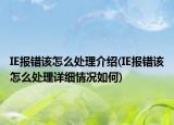 IE报错该怎么处理介绍(IE报错该怎么处理详细情况如何)
