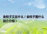 金铃子又名什么（金铃子是什么简介介绍）