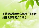 工地里放线是什么意思（工地放线什么意思简介介绍）
