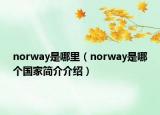 norway是哪里（norway是哪个国家简介介绍）
