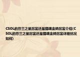 CSOL的芬兰之星厉害还是猎魂金骑厉害介绍(CSOL的芬兰之星厉害还是猎魂金骑厉害详细情况如何)