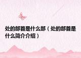 处的部首是什么部（处的部首是什么简介介绍）