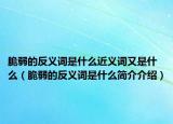 脆弱的反义词是什么近义词又是什么（脆弱的反义词是什么简介介绍）