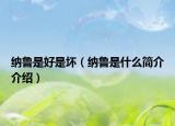 纳鲁是好是坏（纳鲁是什么简介介绍）