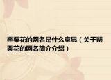 罂粟花的网名是什么意思（关于罂粟花的网名简介介绍）