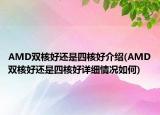 AMD双核好还是四核好介绍(AMD双核好还是四核好详细情况如何)