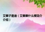 艾栗子是谁（艾栗栗什么梗简介介绍）