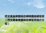 符文奥金棒图纸在哪棒图纸哪里买（符文奥金棒图纸在哪里弄简介介绍）