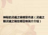 神秘的灵魂之镜哪里传送（灵魂之眼灵魂之镜在哪召唤简介介绍）