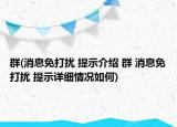 群(消息免打扰 提示介绍 群 消息免打扰 提示详细情况如何)