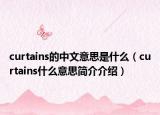 curtains的中文意思是什么（curtains什么意思简介介绍）